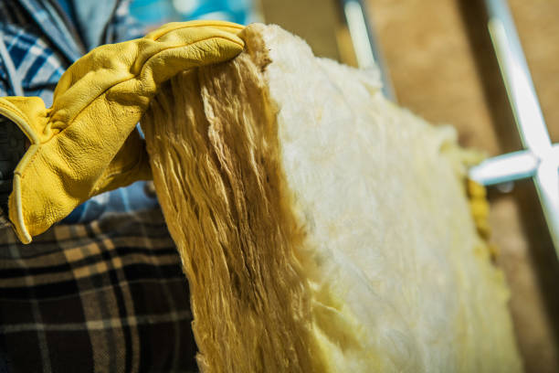 Best Insulation Installation Services in Cuba City, WI